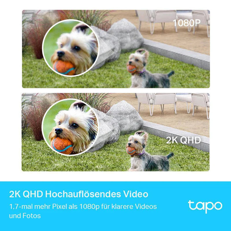 Tapo C420