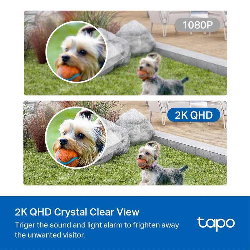 Tapo C420S1
