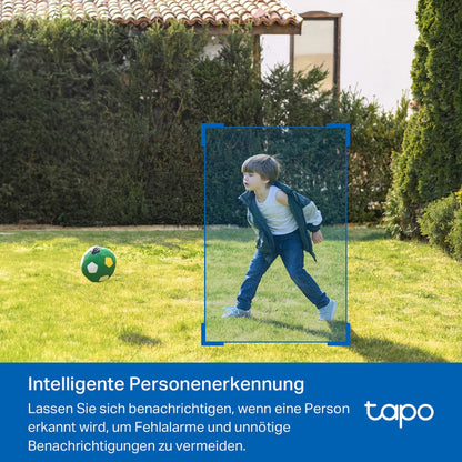 Tapo C410