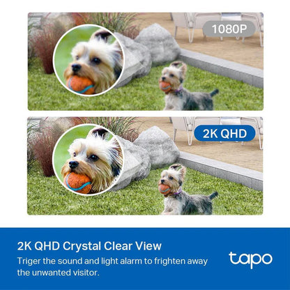 Tapo C420S1